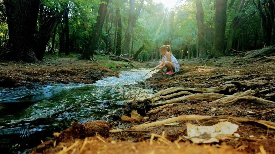 Termas Hotel Cristal Carhué Zewnętrze zdjęcie